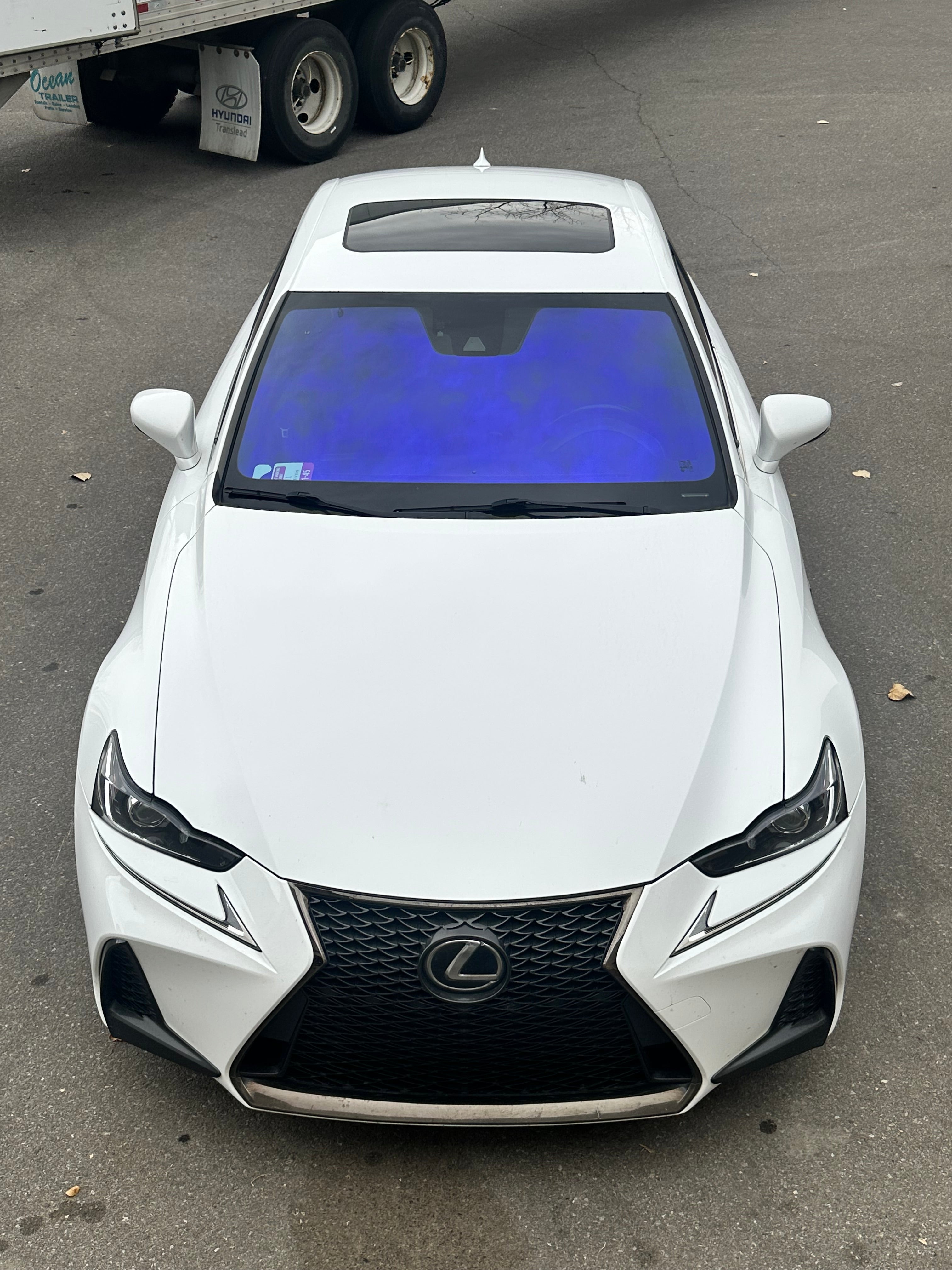 Exotic Blue - 75% VLT Transparent Ceramic Color Tint – Luminous Tints