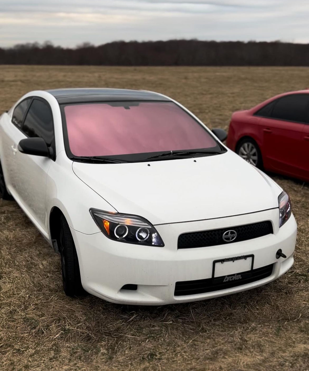 Sakura Pink (In Stock) – Luminous Tints